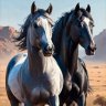 nokota_mustang